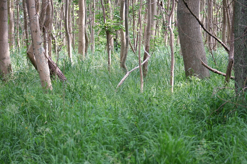 Killikus&reg; Fotographie